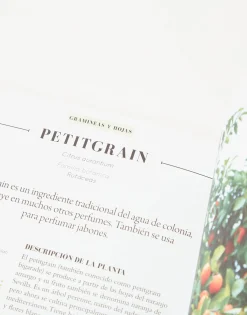 Natura Selection Aceites Esenciales