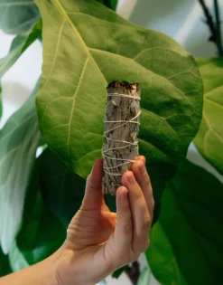 Natura Selection Atado Salvia Blanca 139365-BEIG