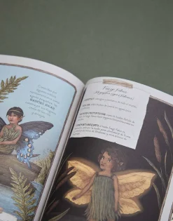 Natura Selection Historia Natural De Las Hadas Online