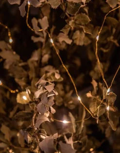 Natura Selection Mini Tira De Luces 94542-GOLD-c2af74 New