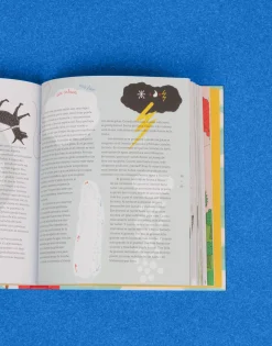 Natura Selection Palmeras En El Polo Norte Sale