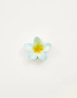 Natura Selection Pinza Pelo Flor Sale