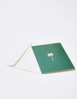 Natura Selection Postal Papel Con Sobre Best