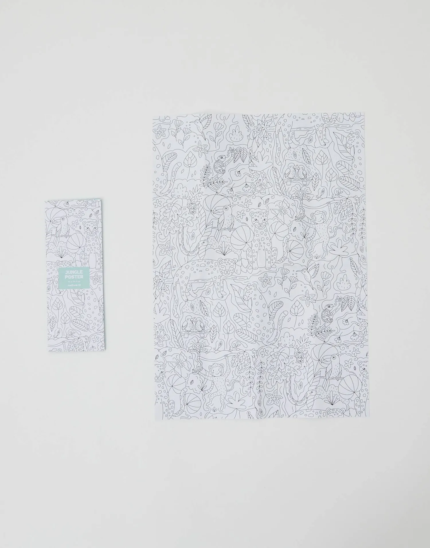 Natura Selection Póster Para Colorear